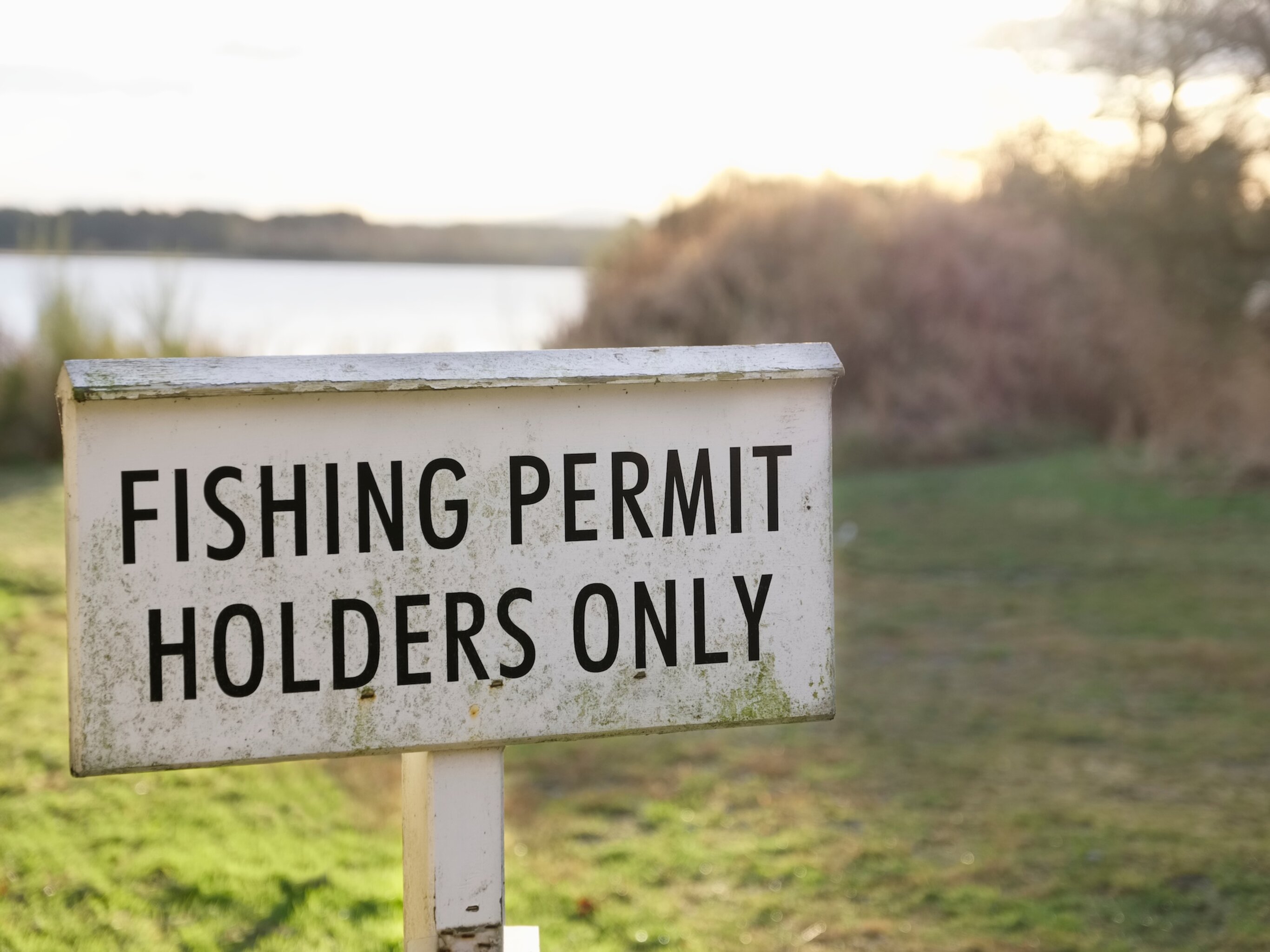 licenza di pesca sportiva in mare